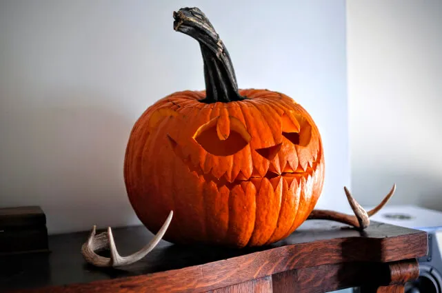 calabaza halloween dibujo