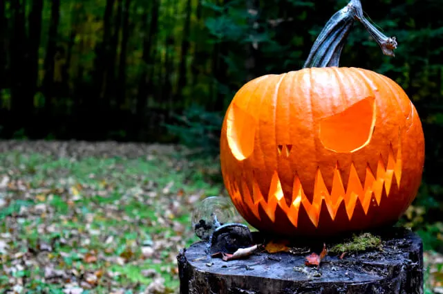 caras de calabazas de halloween