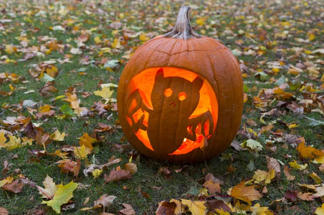 decorar calabazas para halloween