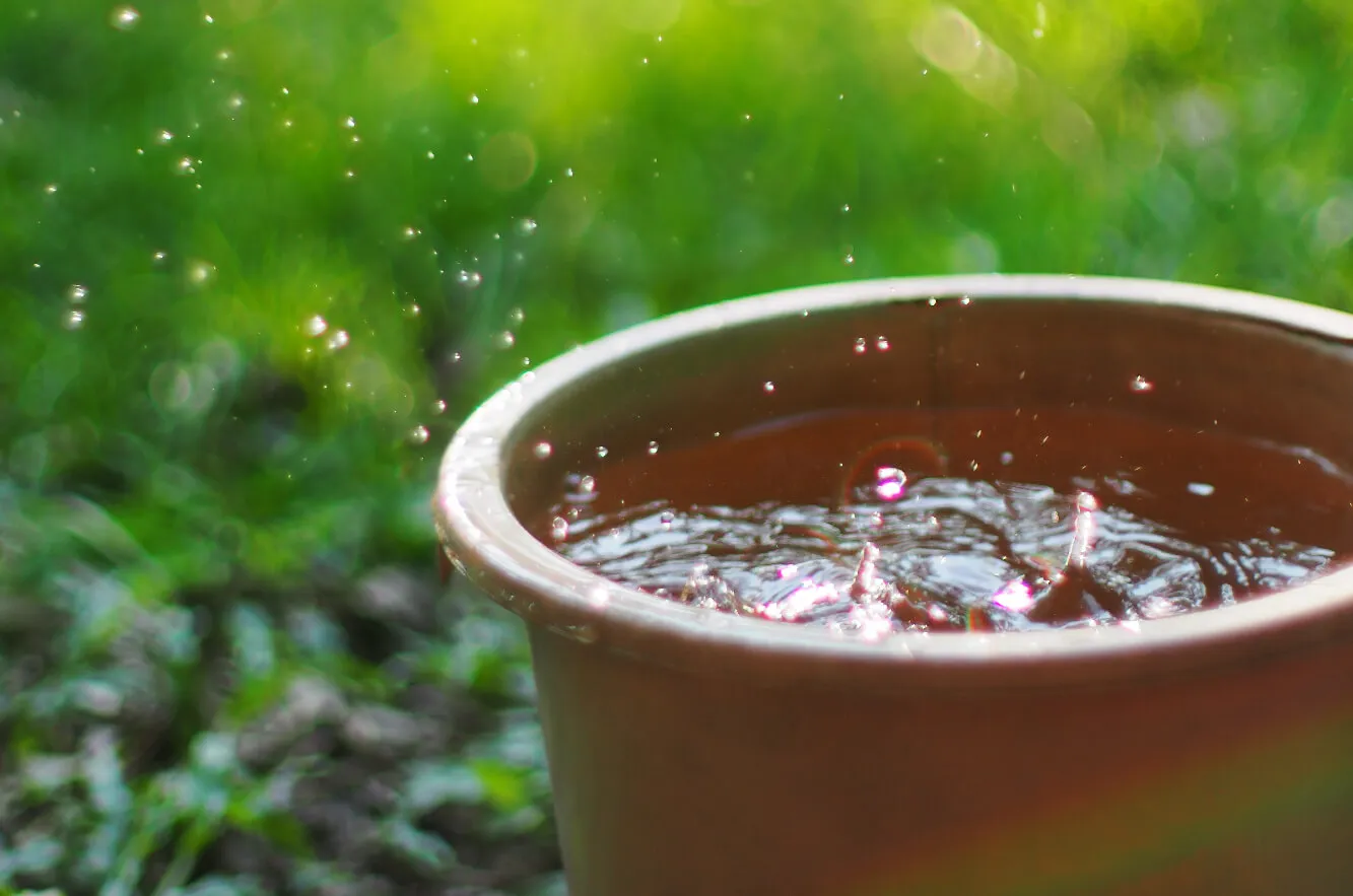 aguas de lluvias