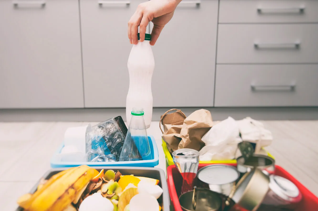 reciclaje en el dia del medio ambiente