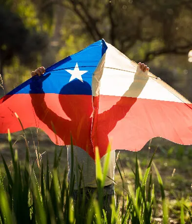 juegos tipicos de fiestas patrias para la familia